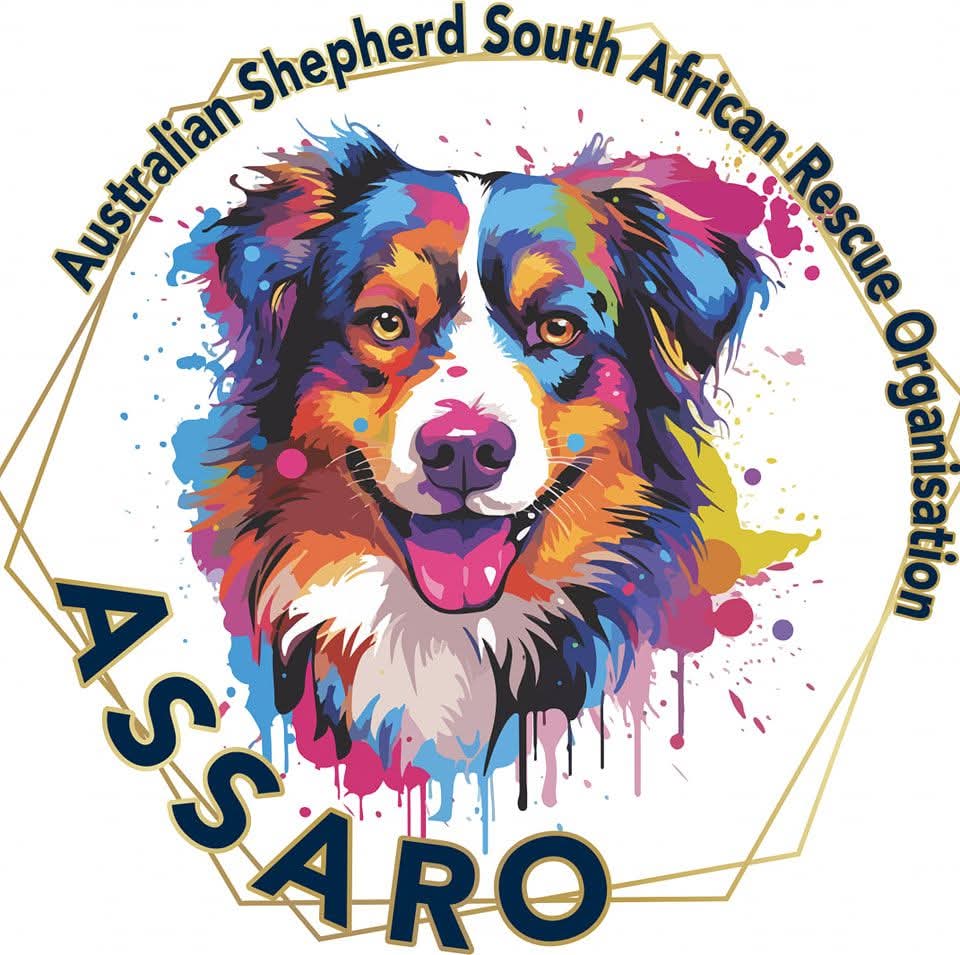 ASSARO Logo
