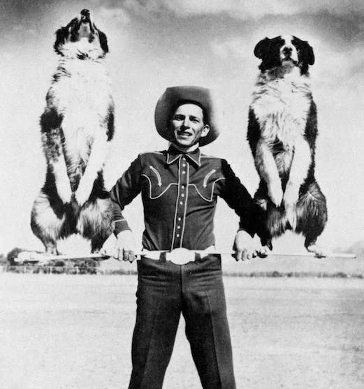 Australian Shepherd history