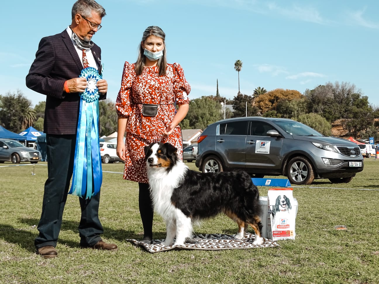 Australian Shepherd