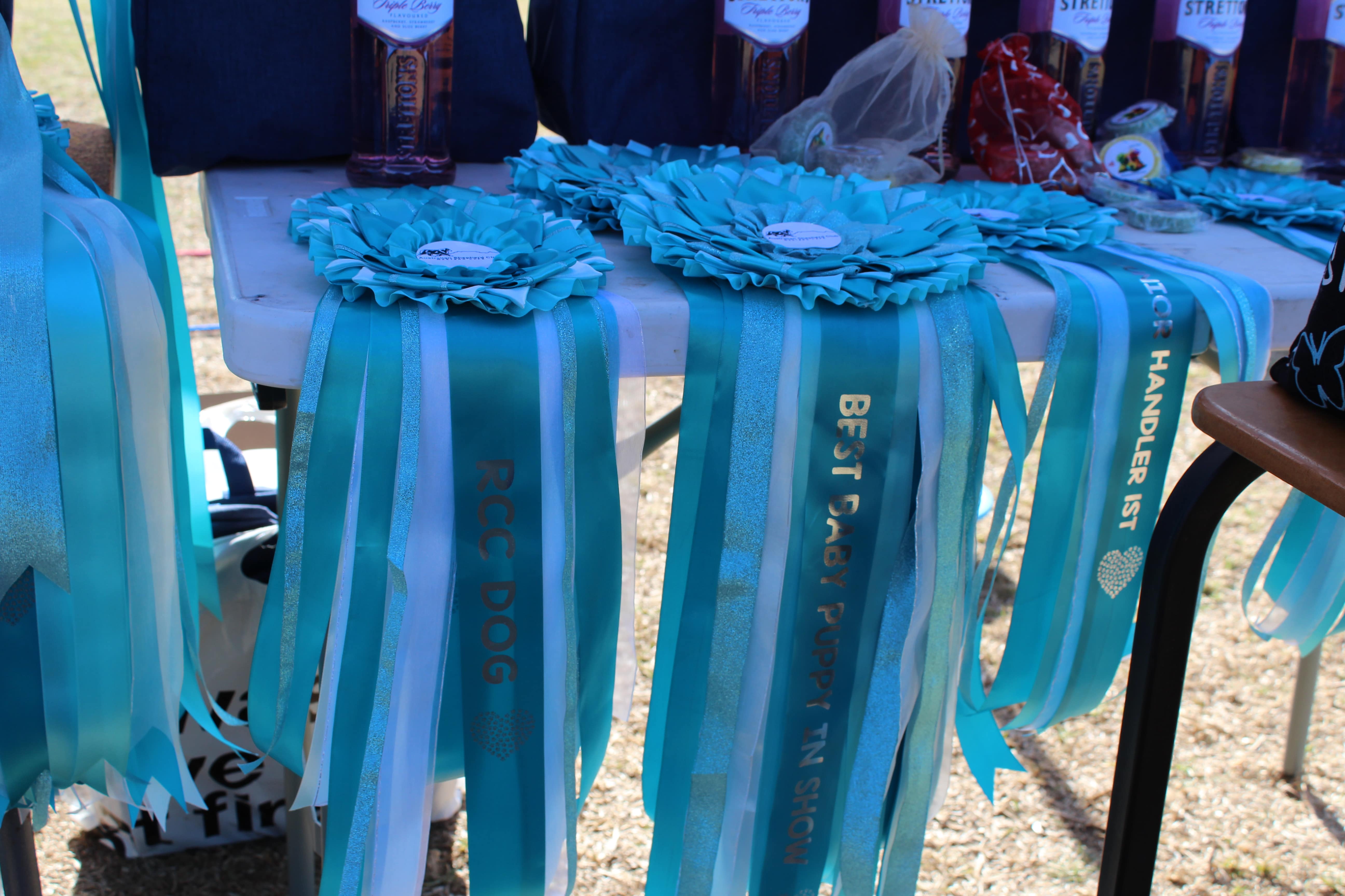Dog show trophy