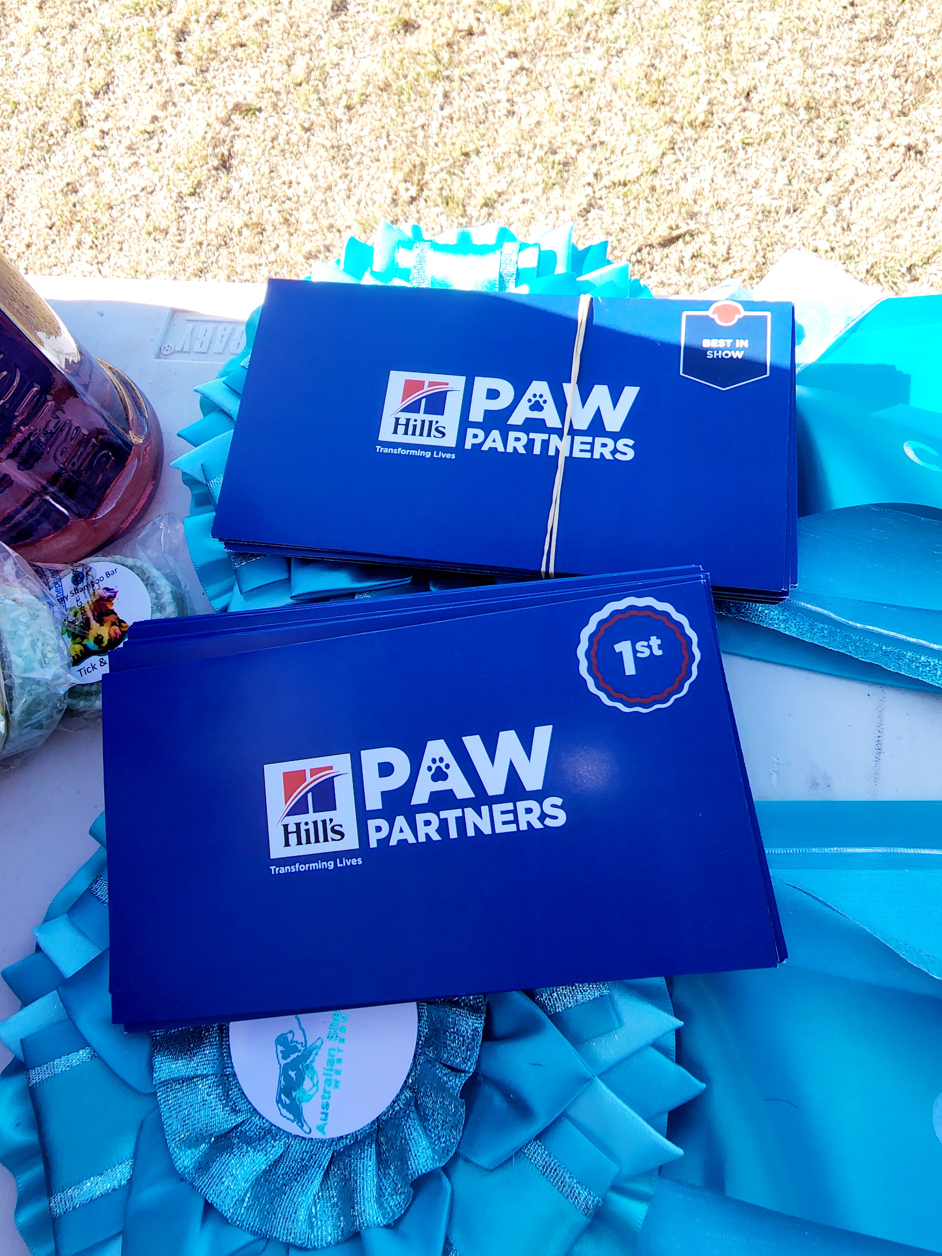 Dog show image placeholder